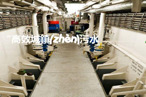 “高效城鎮(zhèn)污水處理流程，守護(hù)碧水藍(lán)天新篇章”